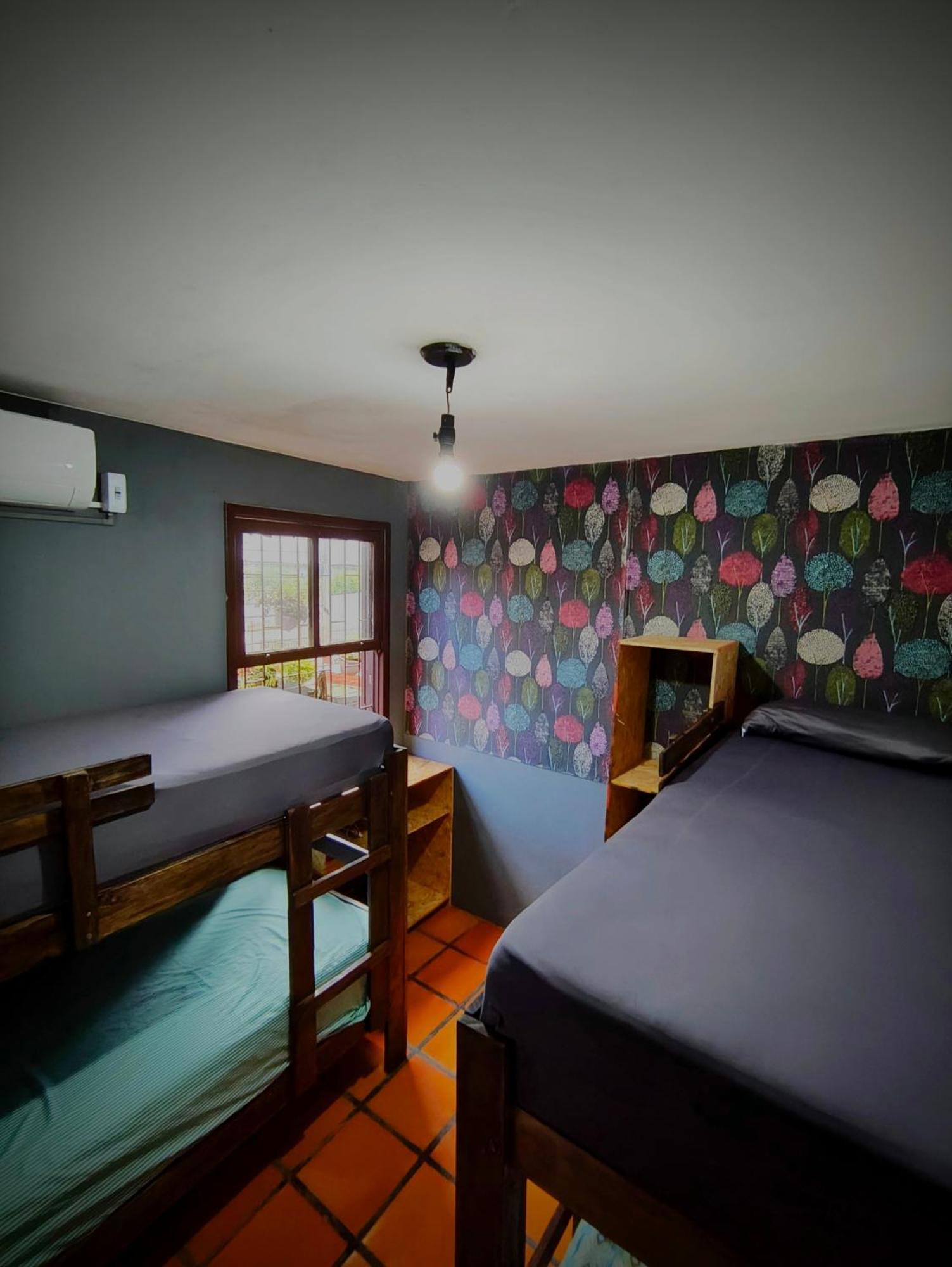 Katsbarnea Hostel - Florianopolis — Photos 3